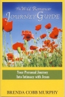 The Wild Romancer Journey Guide